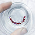 4mm Swarovski Dark Siam Red AB Bicone Bead Pack (10 Beads) F3
