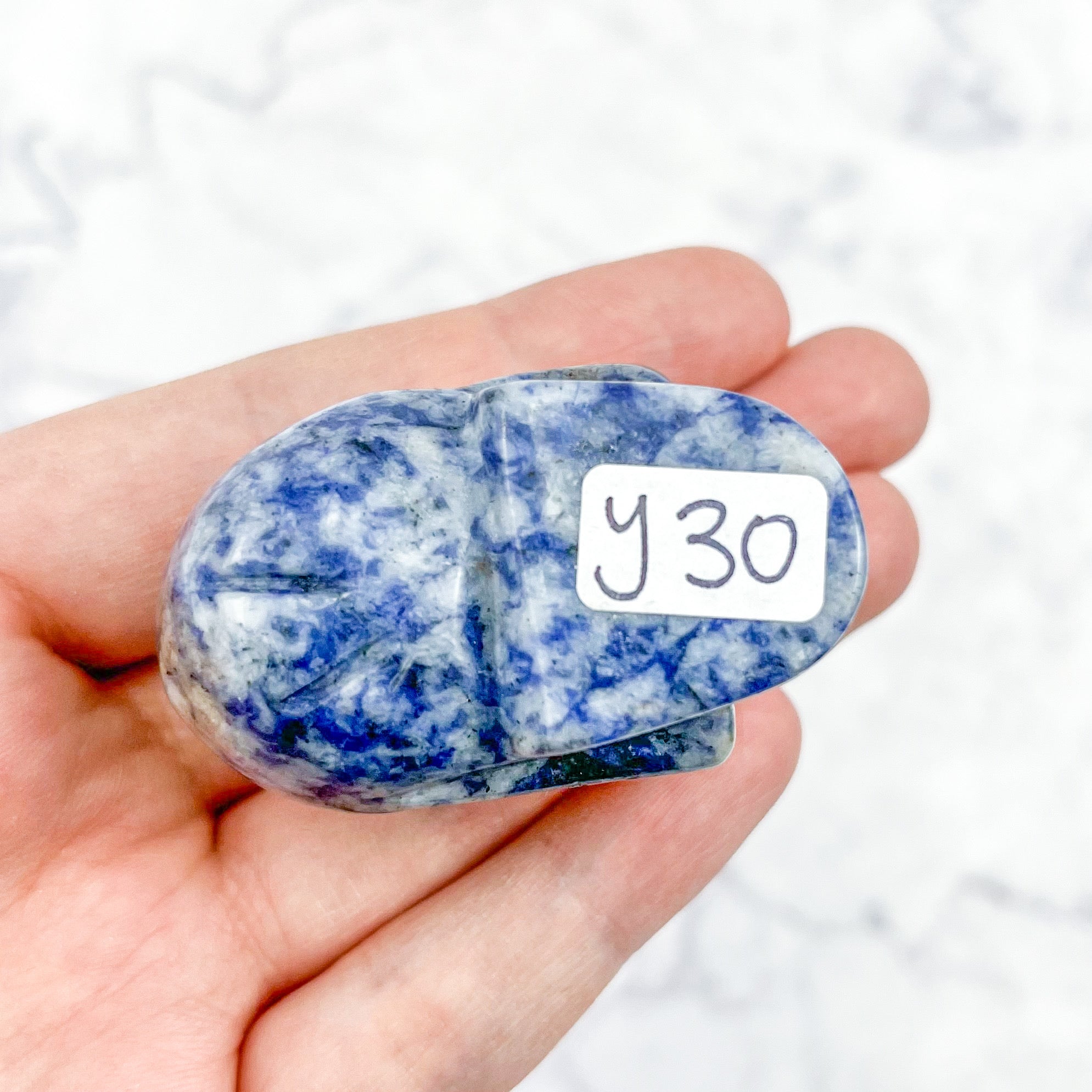 1.75 Inch Sodalite Skull Y30