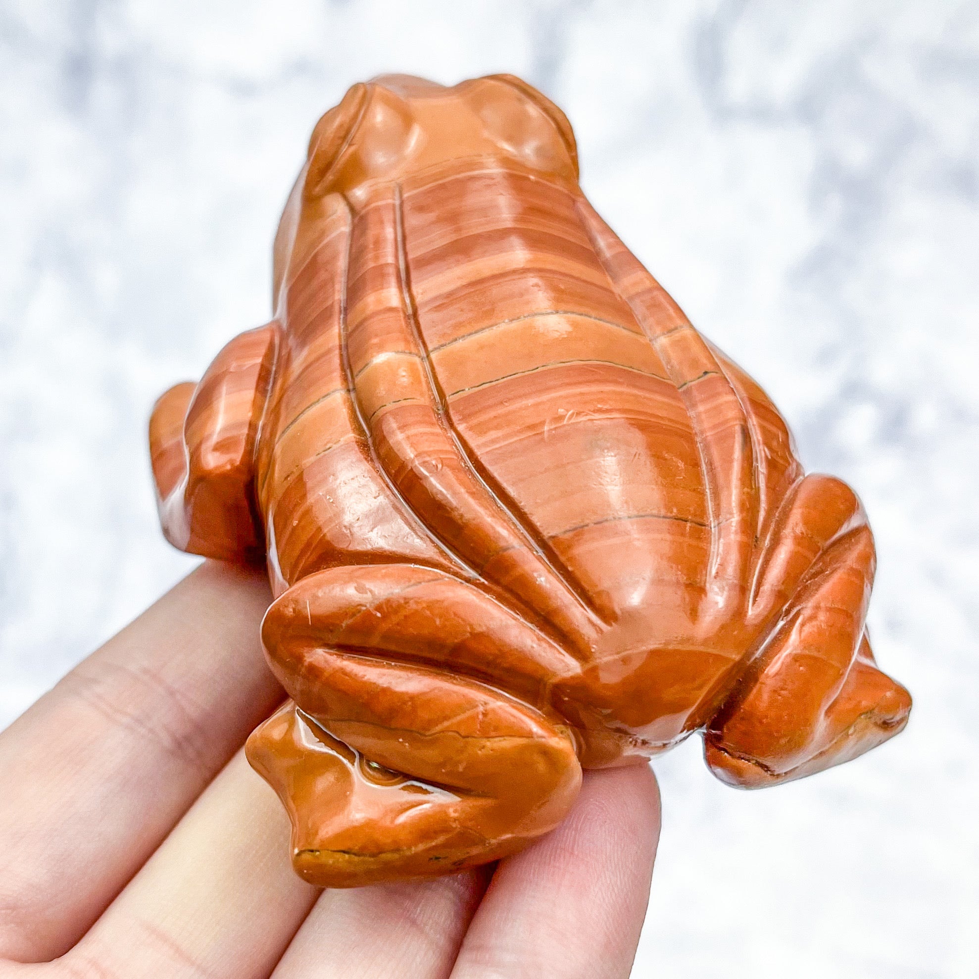 2.75 Inch Red Jasper Frog F50