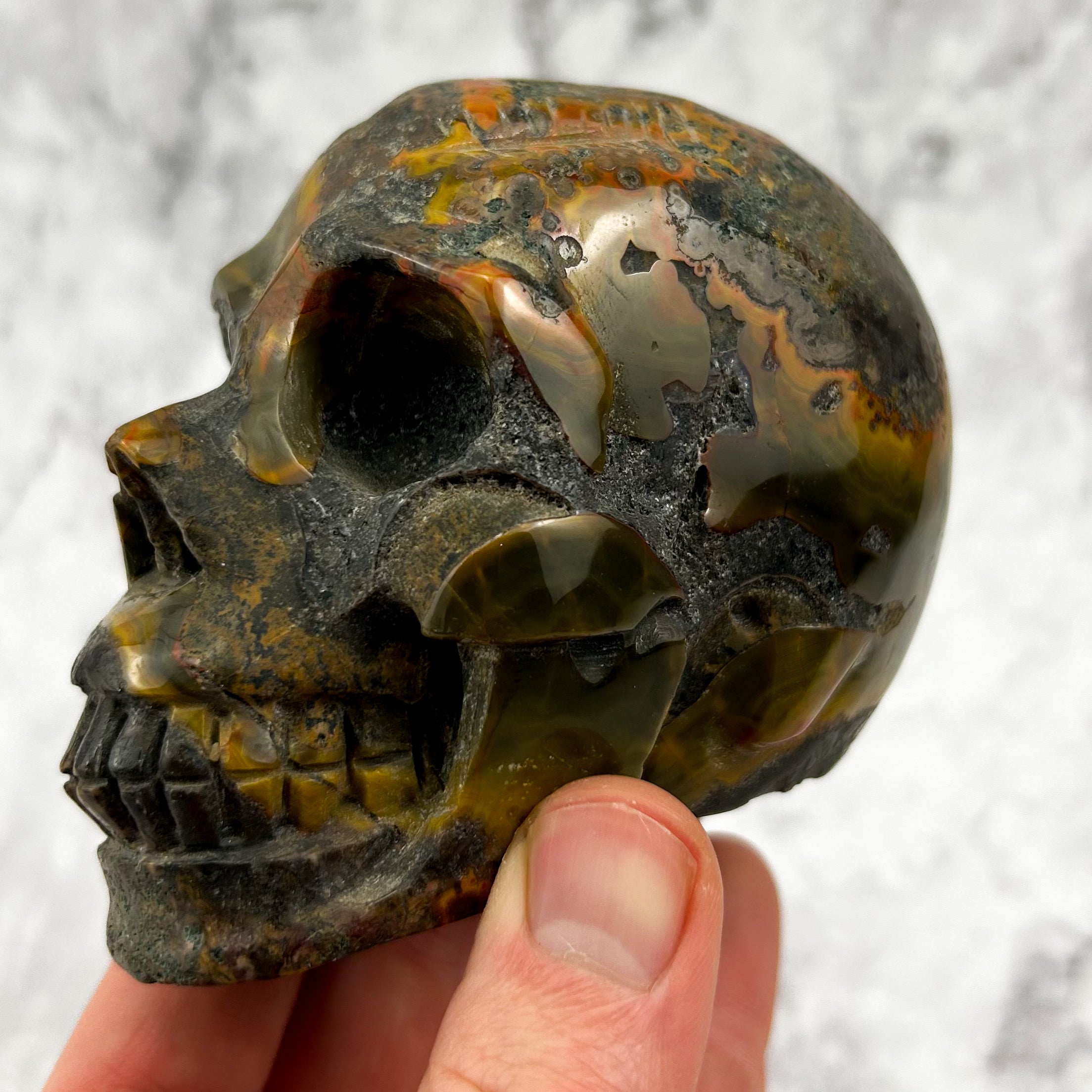 4 Inch Mexican Lace Agate on Host Stone Skull BT246