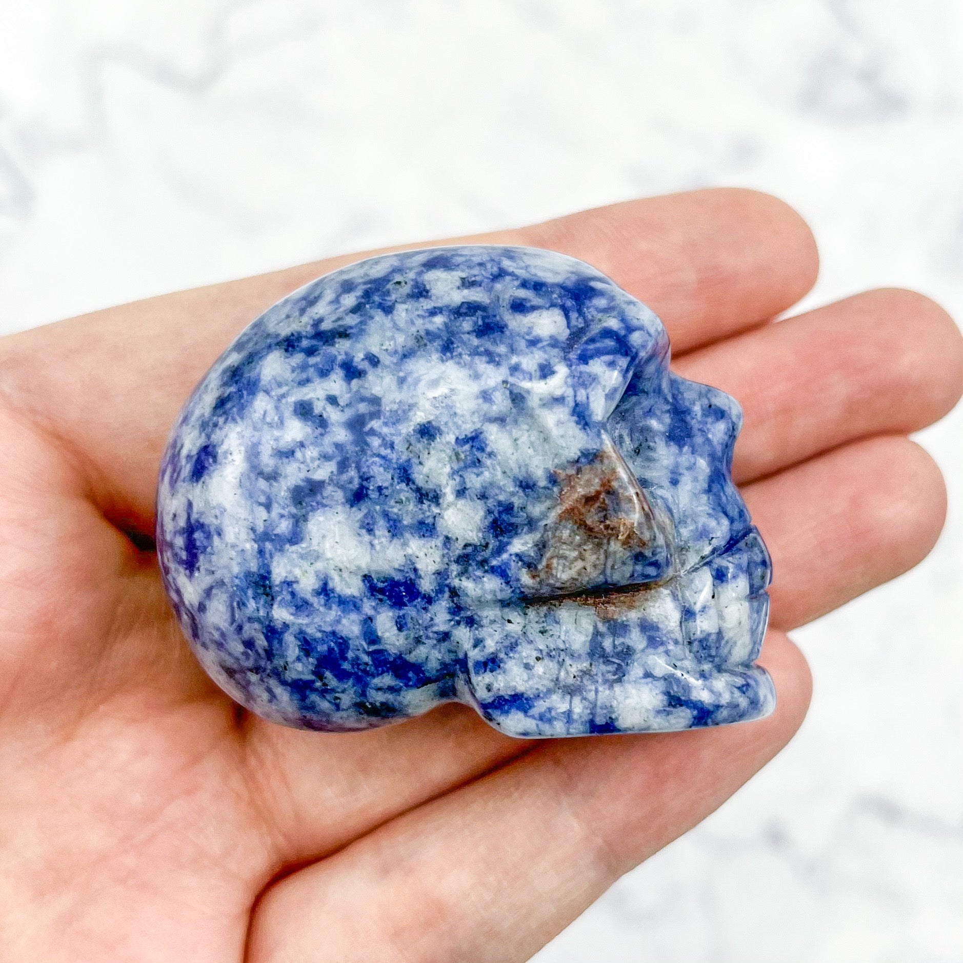1.75 Inch Sodalite Skull Y30