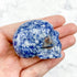 1.75 Inch Sodalite Skull Y30