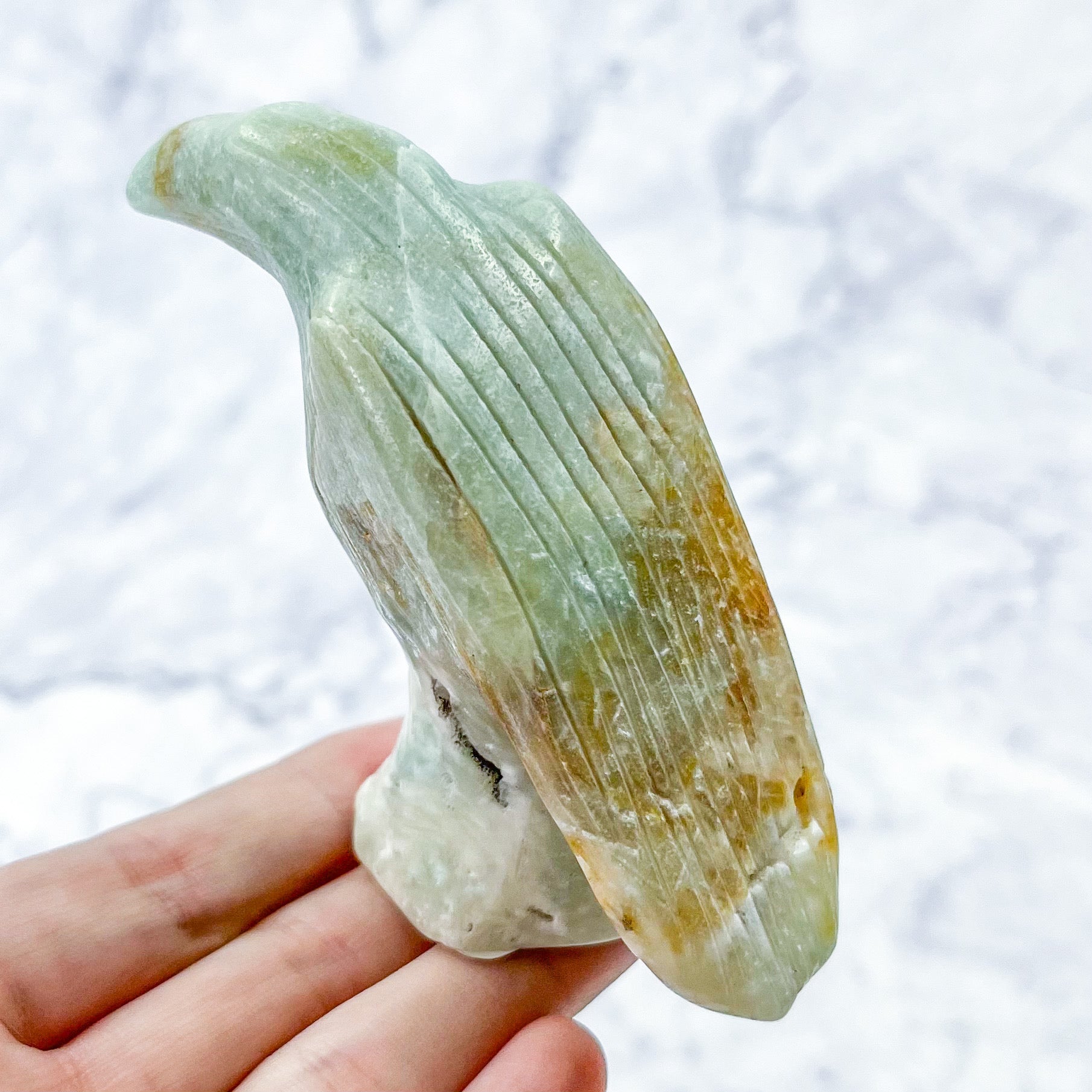 3 Inch Amazonite Raven Carving V58