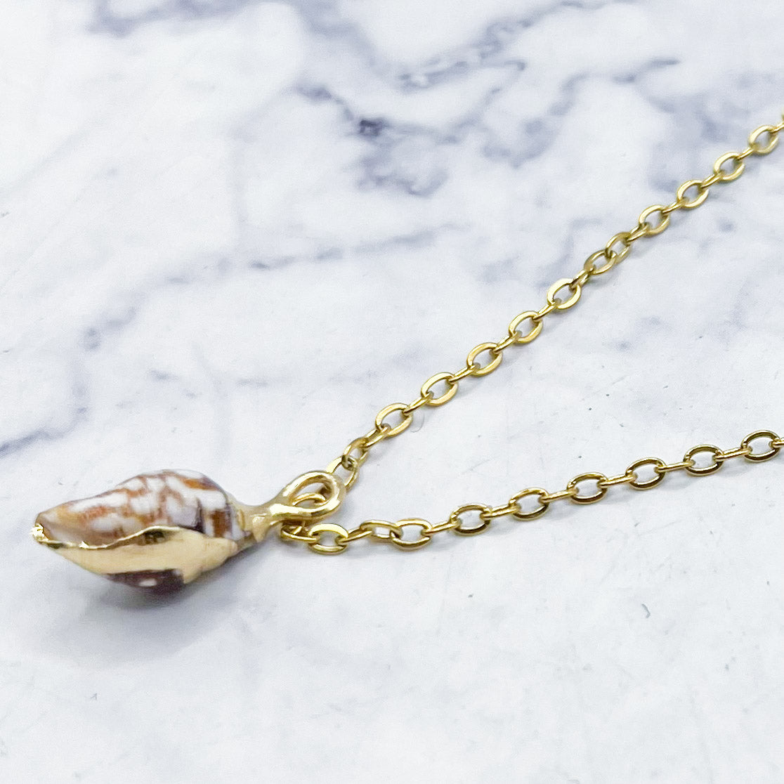 15mm Spotted Sea Shell Pendant K2