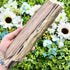 8.75 Inch Petrified Wood Slab L92