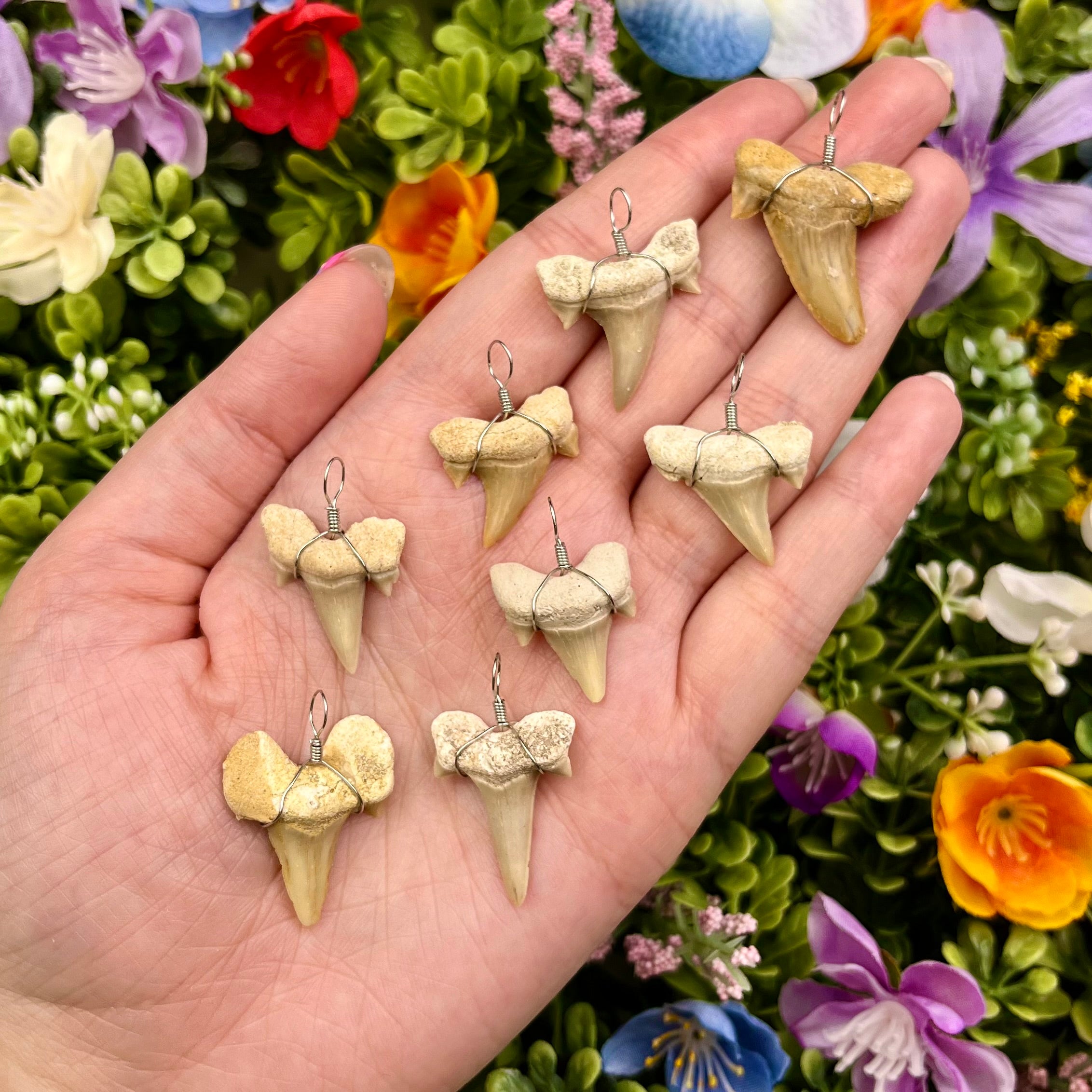 1 - 1.75 Inch Moroccan Shark Teeth Pendants