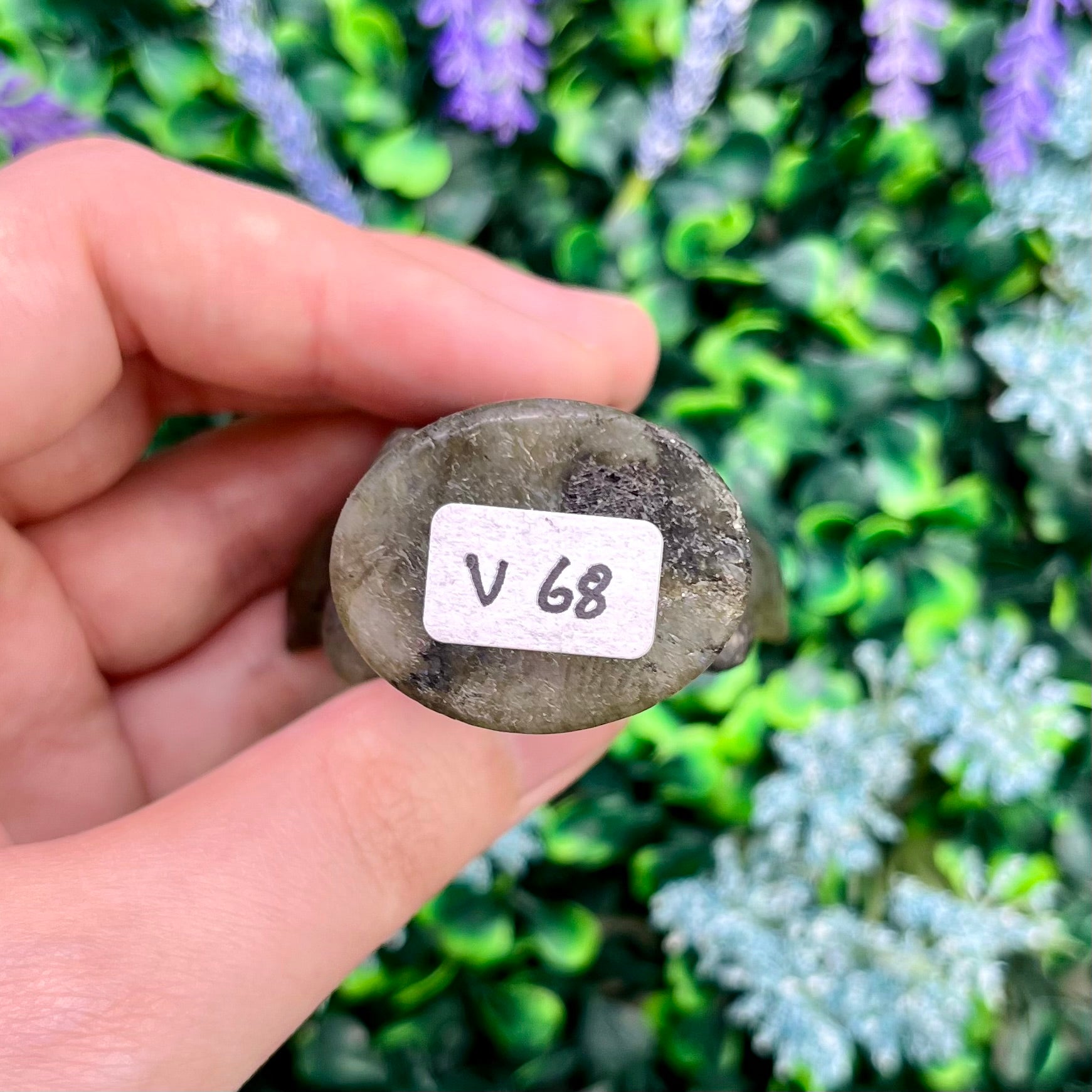 3 Inch Labradorite Demogorgon V68