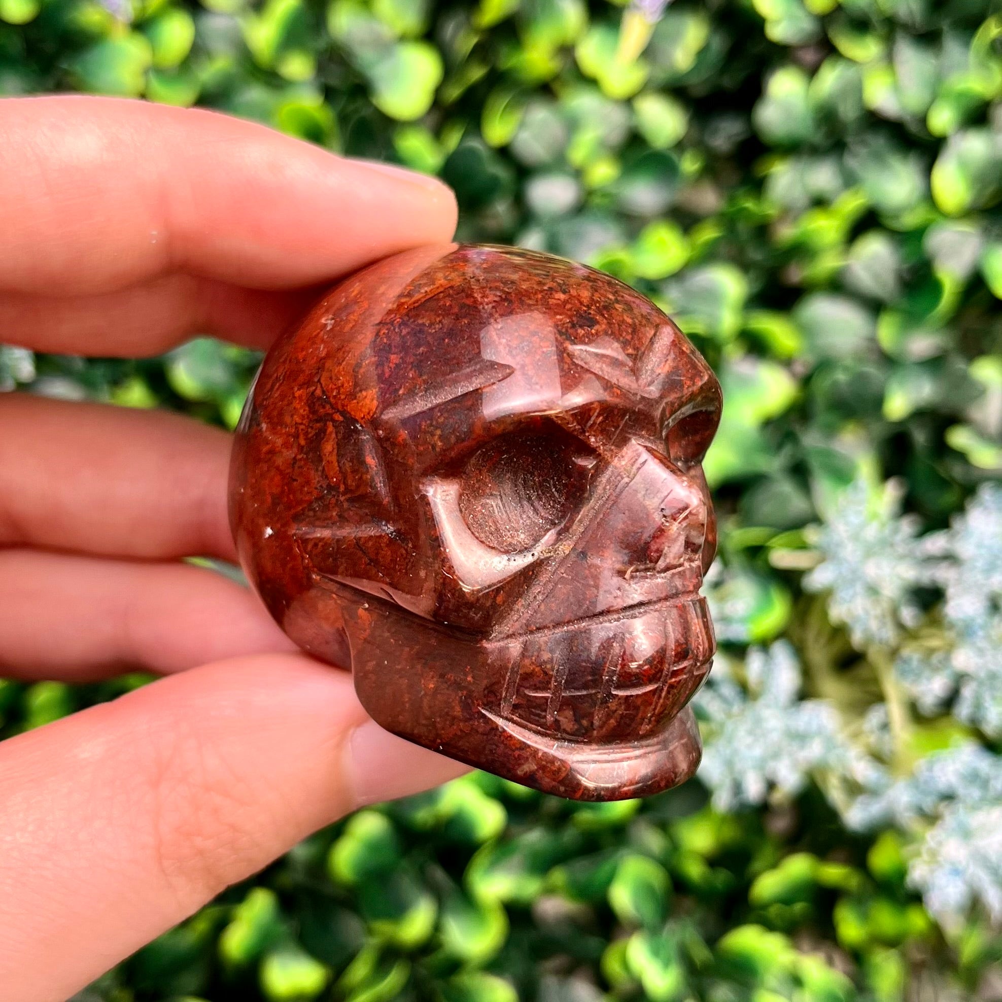 1.75 Inch Brecciated Red Jasper Skull M32