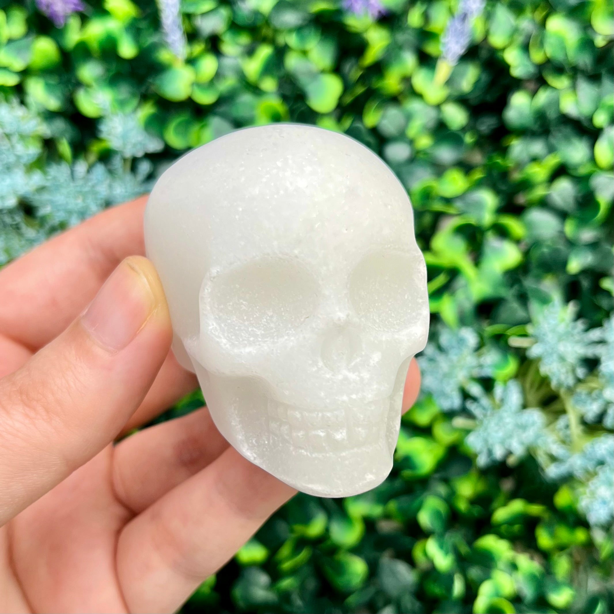 2.25 Inch Dolomite Skull R42