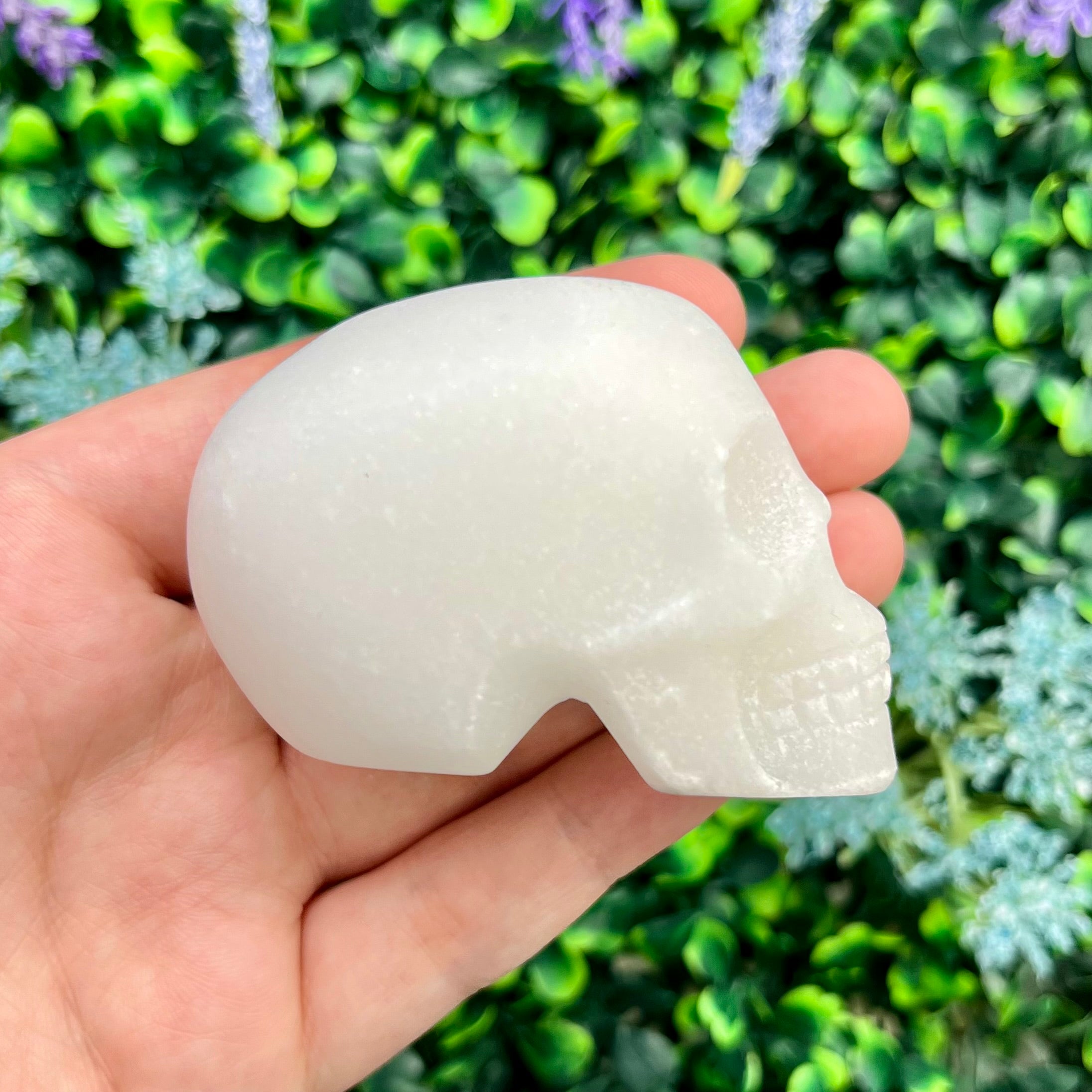 2.25 Inch Dolomite Skull R42