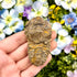2.5 Inch Trilobite Fossil T6
