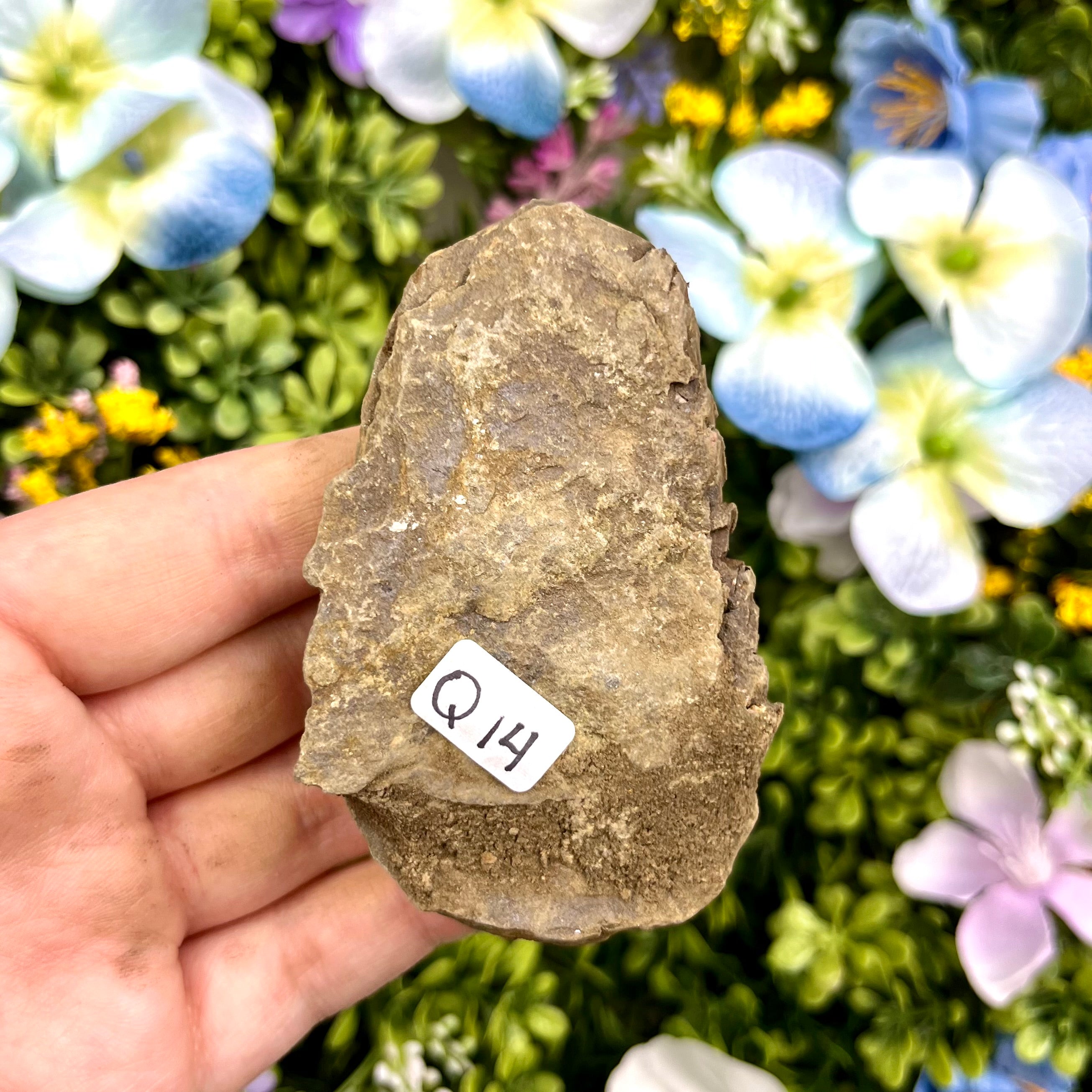3 Inch Trilobite Fossil Q14