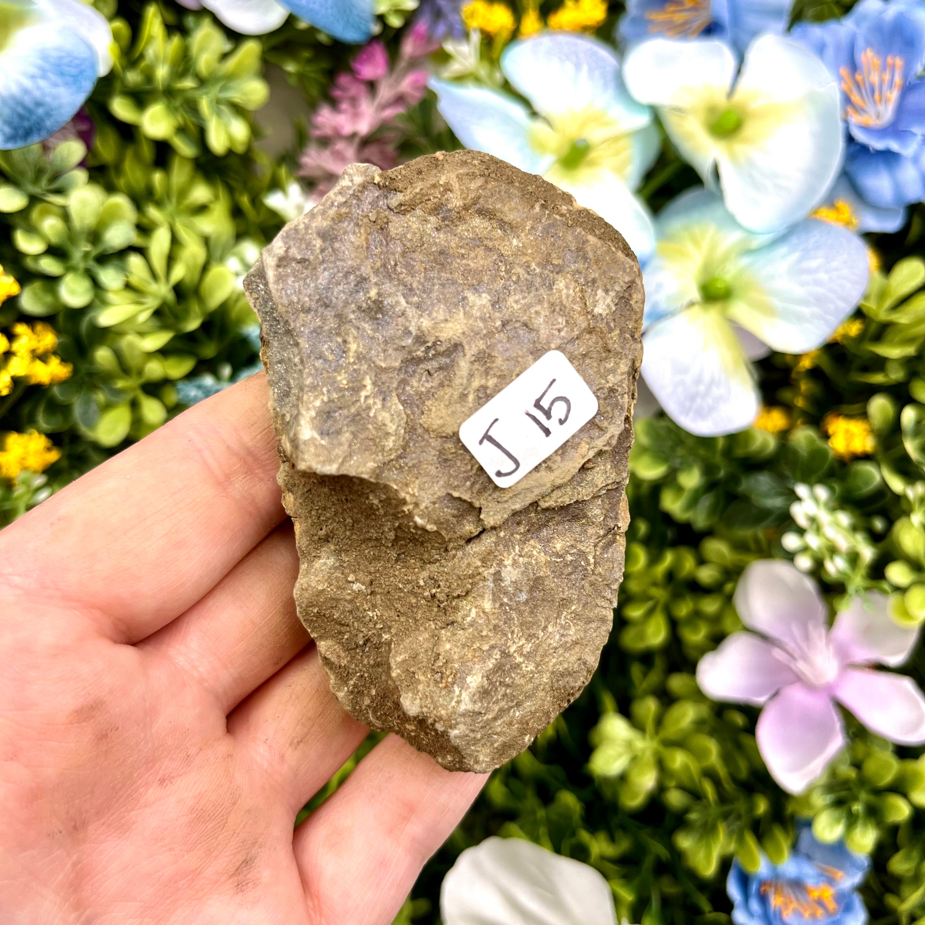 3 Inch Trilobite Fossil J15