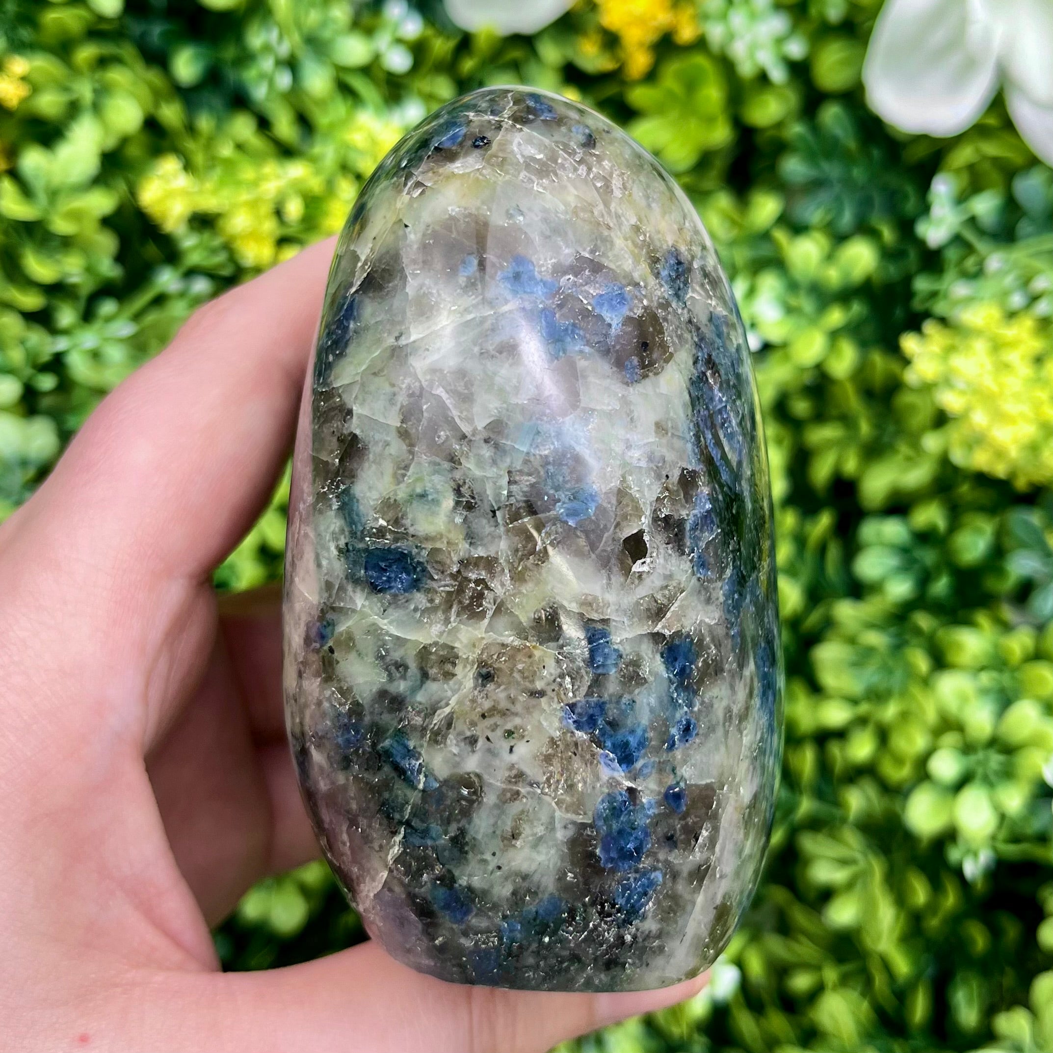 3.5 Inch Iolite Freeform F64