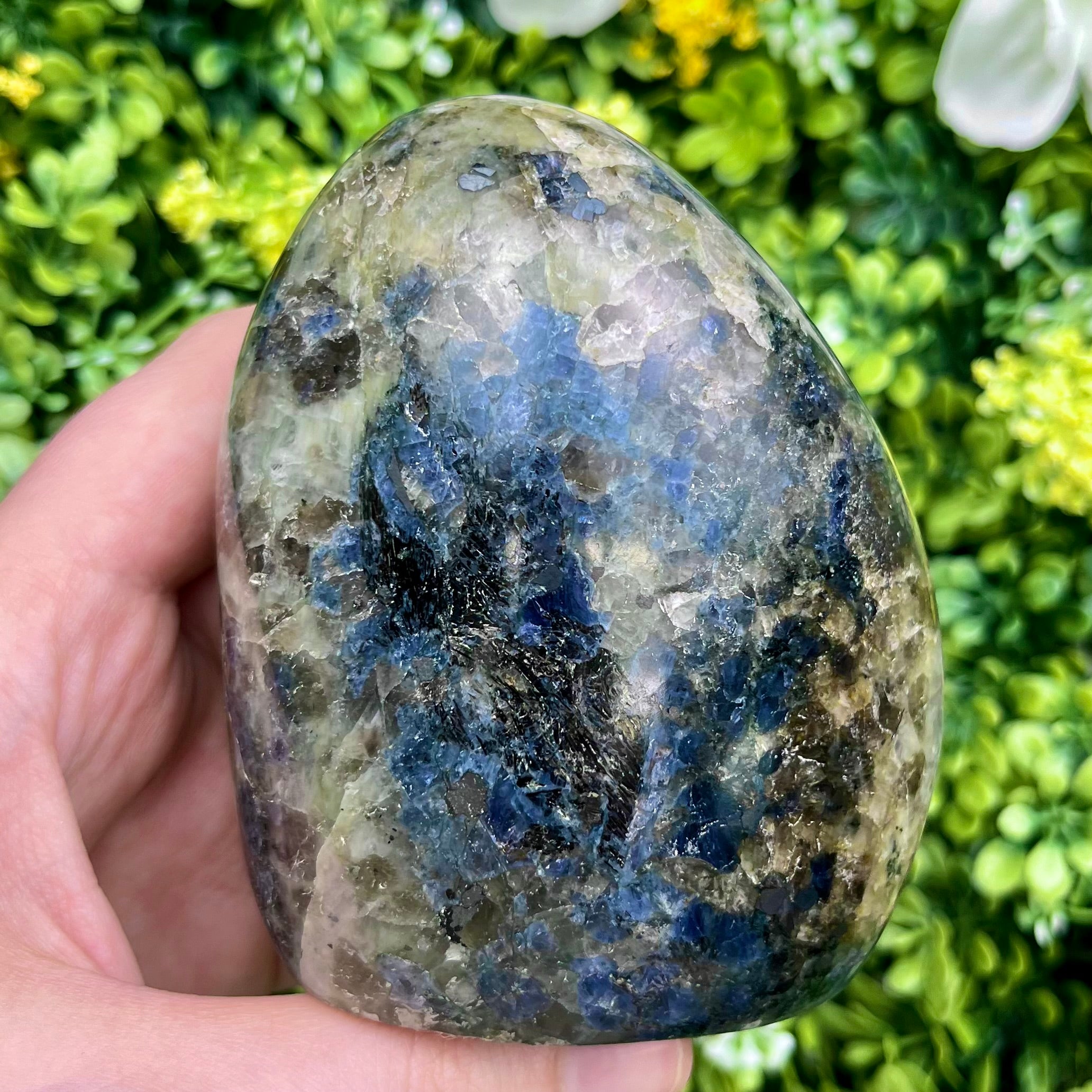 3.5 Inch Iolite Freeform F64
