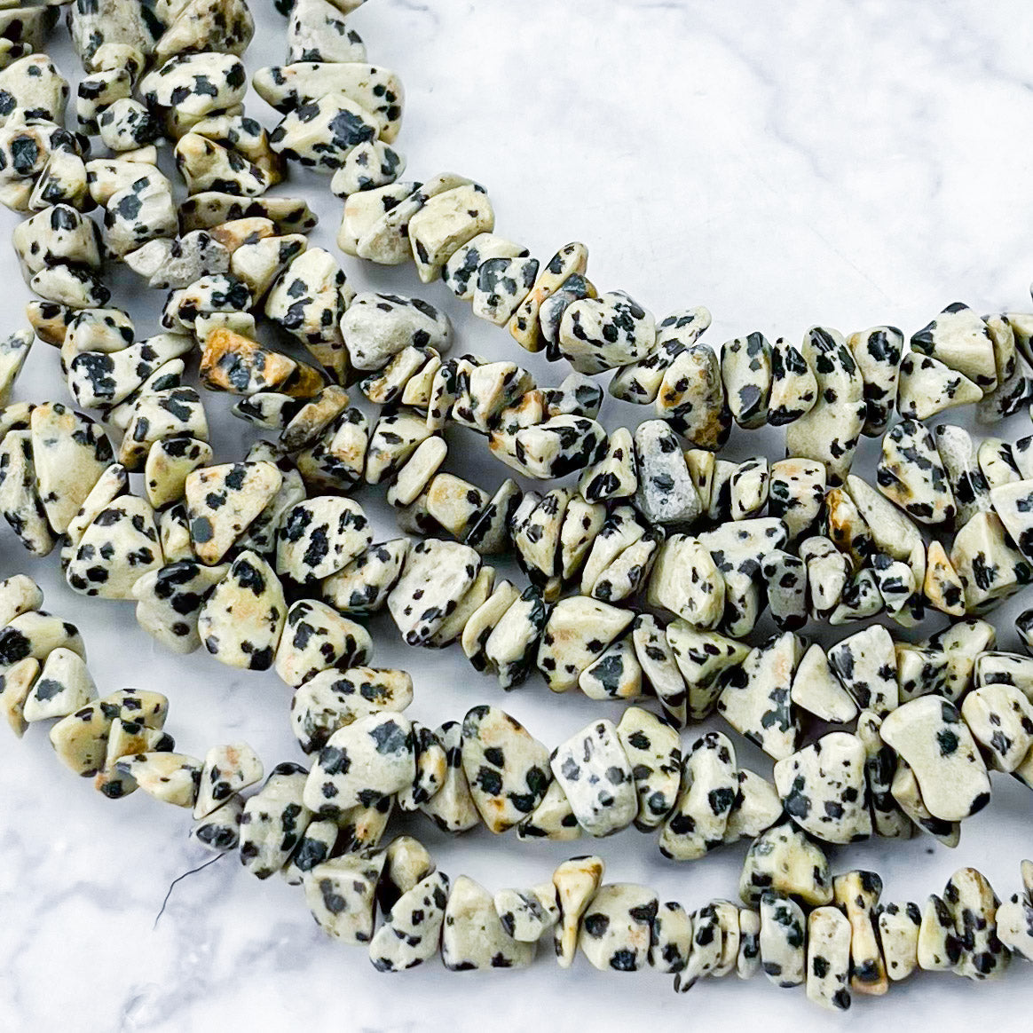 Dalmatian Jasper Chip Bead Strand T10