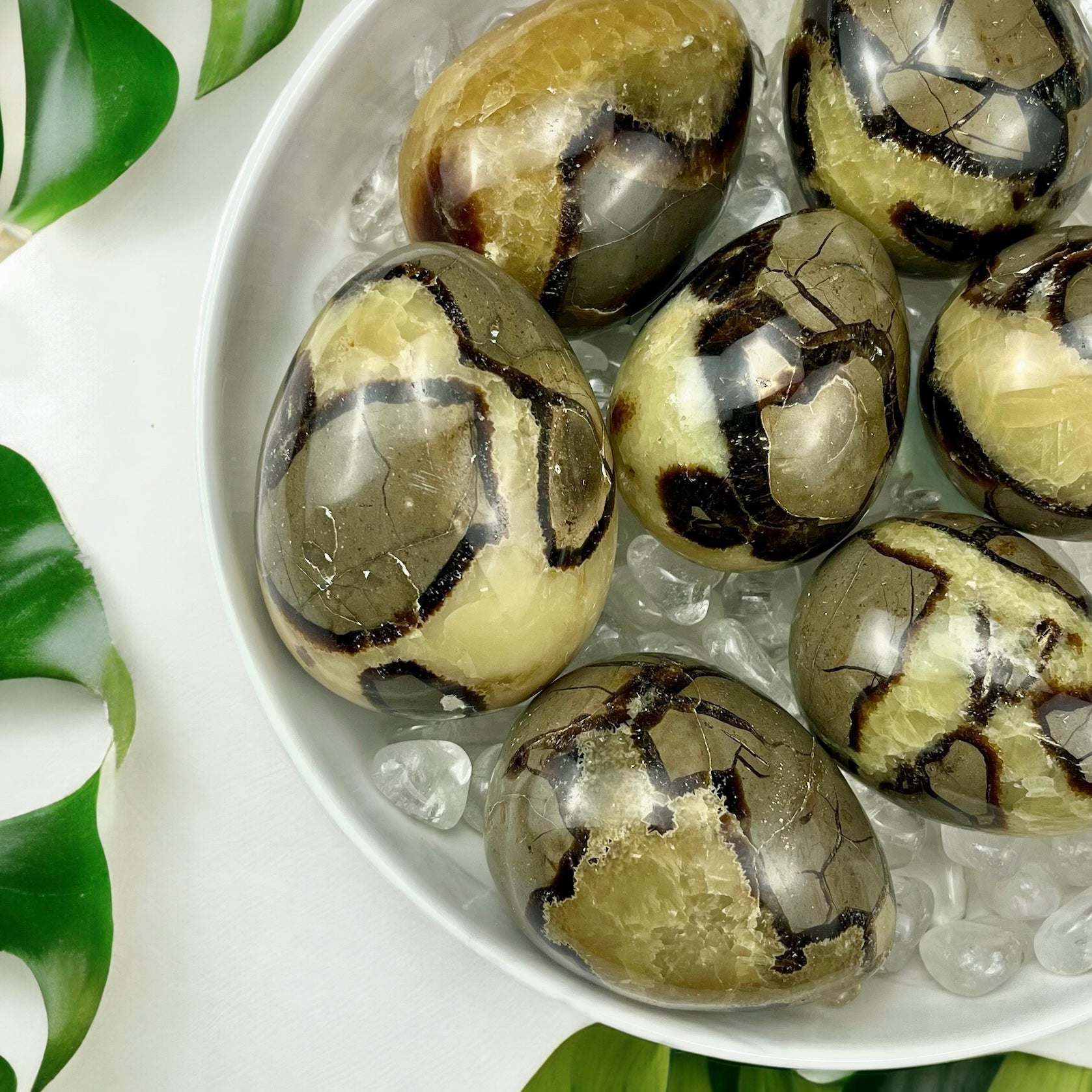 Septarian Egg
