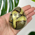 Septarian Egg