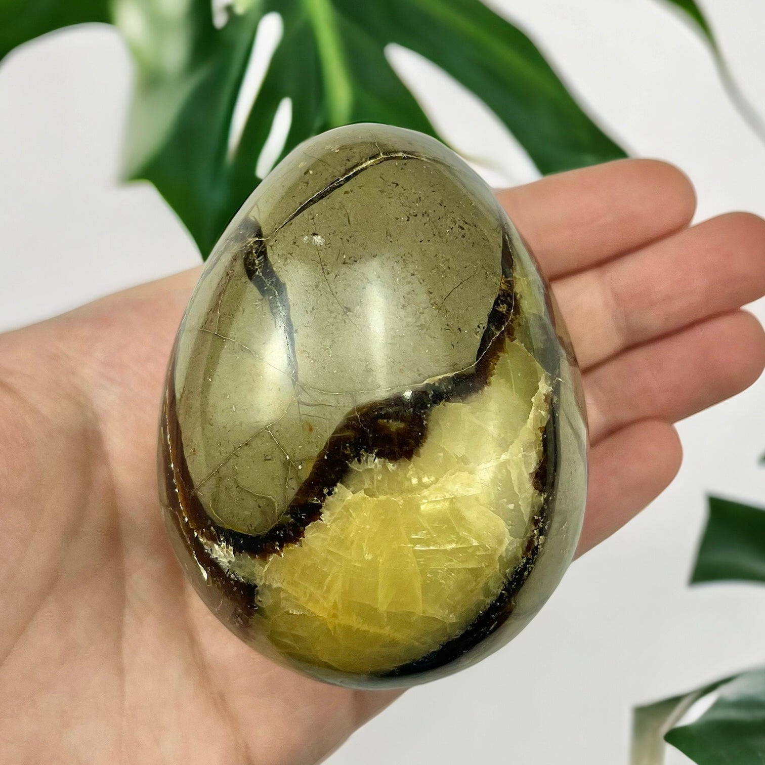 Septarian Egg
