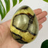 Septarian Egg