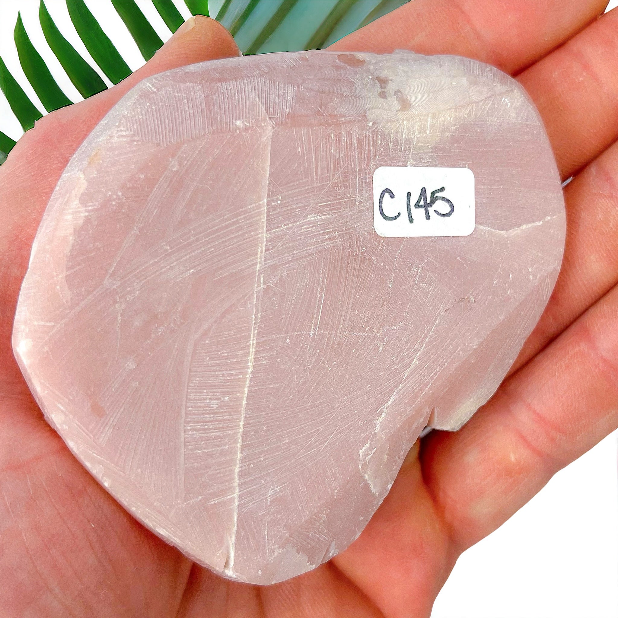 3.25 Inch Pink Opal Scorpion C145