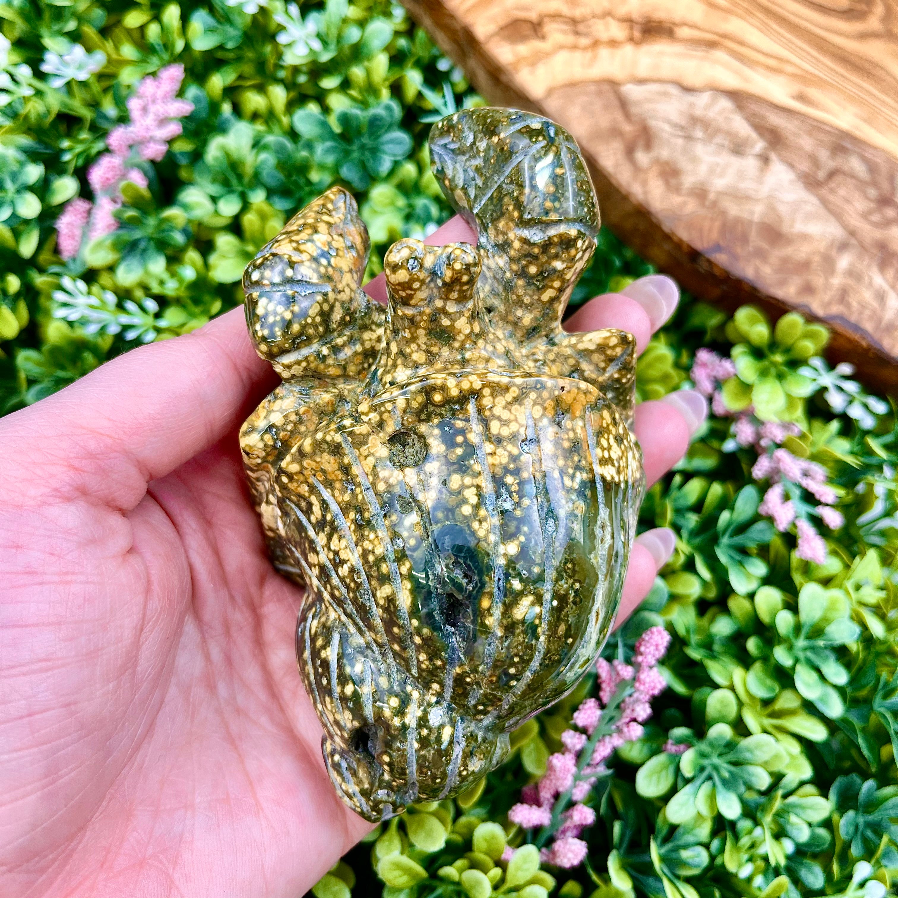 3 Inch Orbicular Ocean Jasper Hermit Crab O195