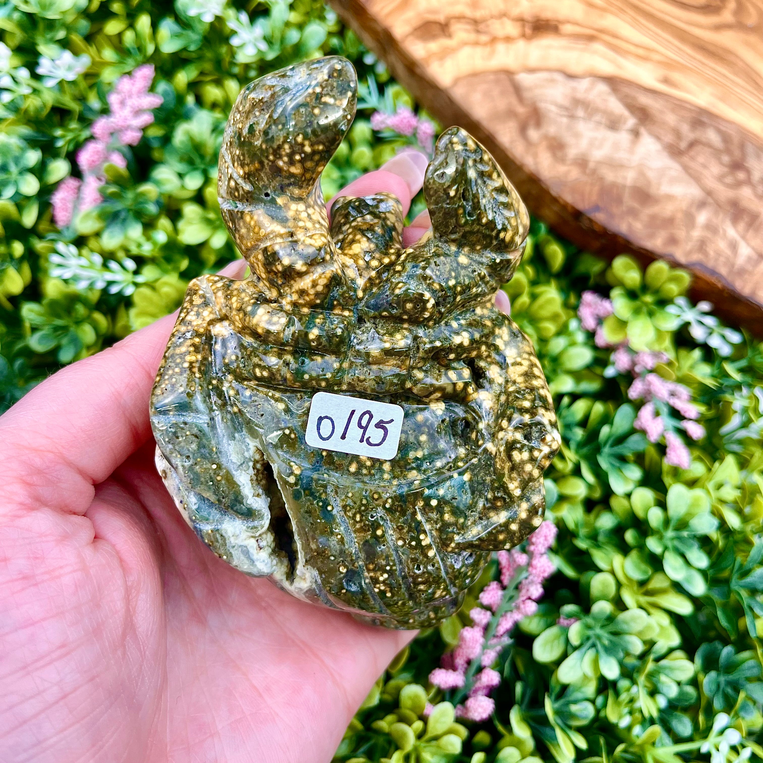 3 Inch Orbicular Ocean Jasper Hermit Crab O195