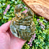 3 Inch Orbicular Ocean Jasper Hermit Crab O195