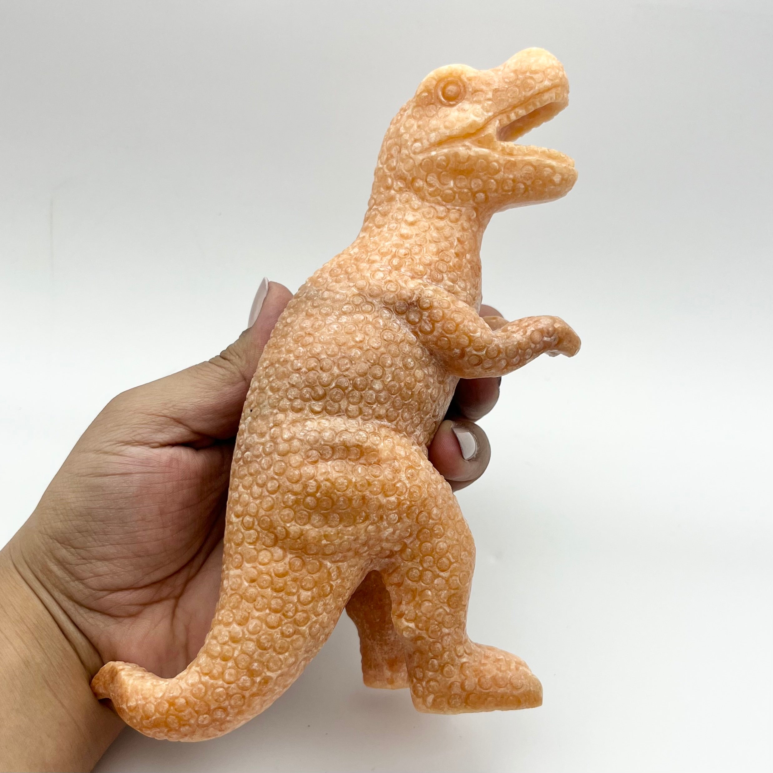 7.25 Inch Orange Calcite T-Rex E260