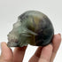 3 Inch Rainbow Fluorite Skull XX85