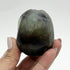 3 Inch Rainbow Fluorite Skull XX85