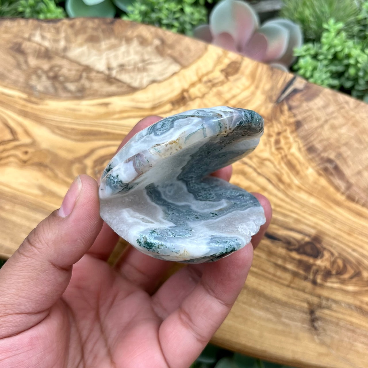 2.75 Inch Moss Agate Clam Shell A115