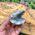 2.75 Inch Moss Agate Clam Shell A115