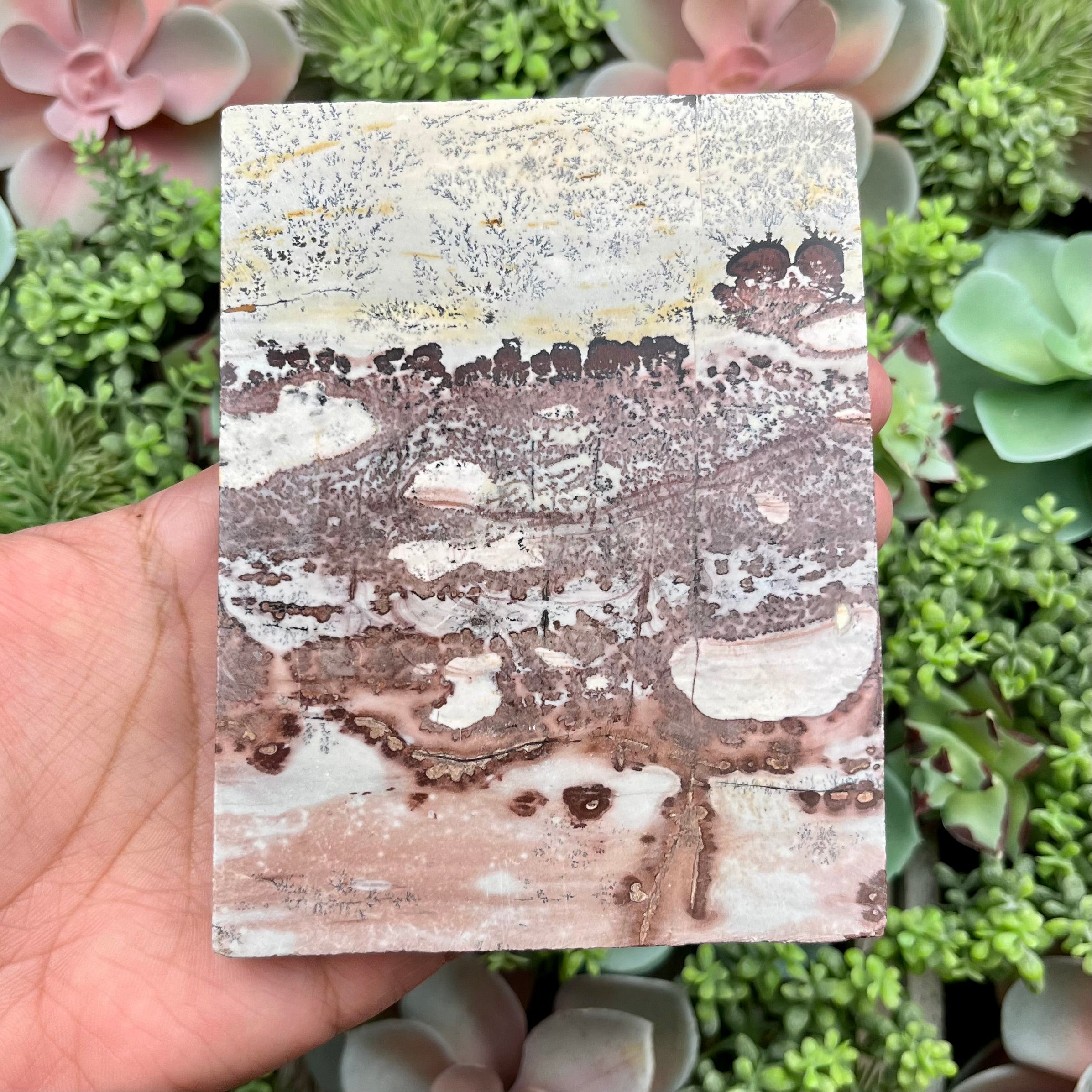 4.5 Inch Limestone Slab C35