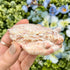 2.75 Inch Ocean Jasper Fish P86