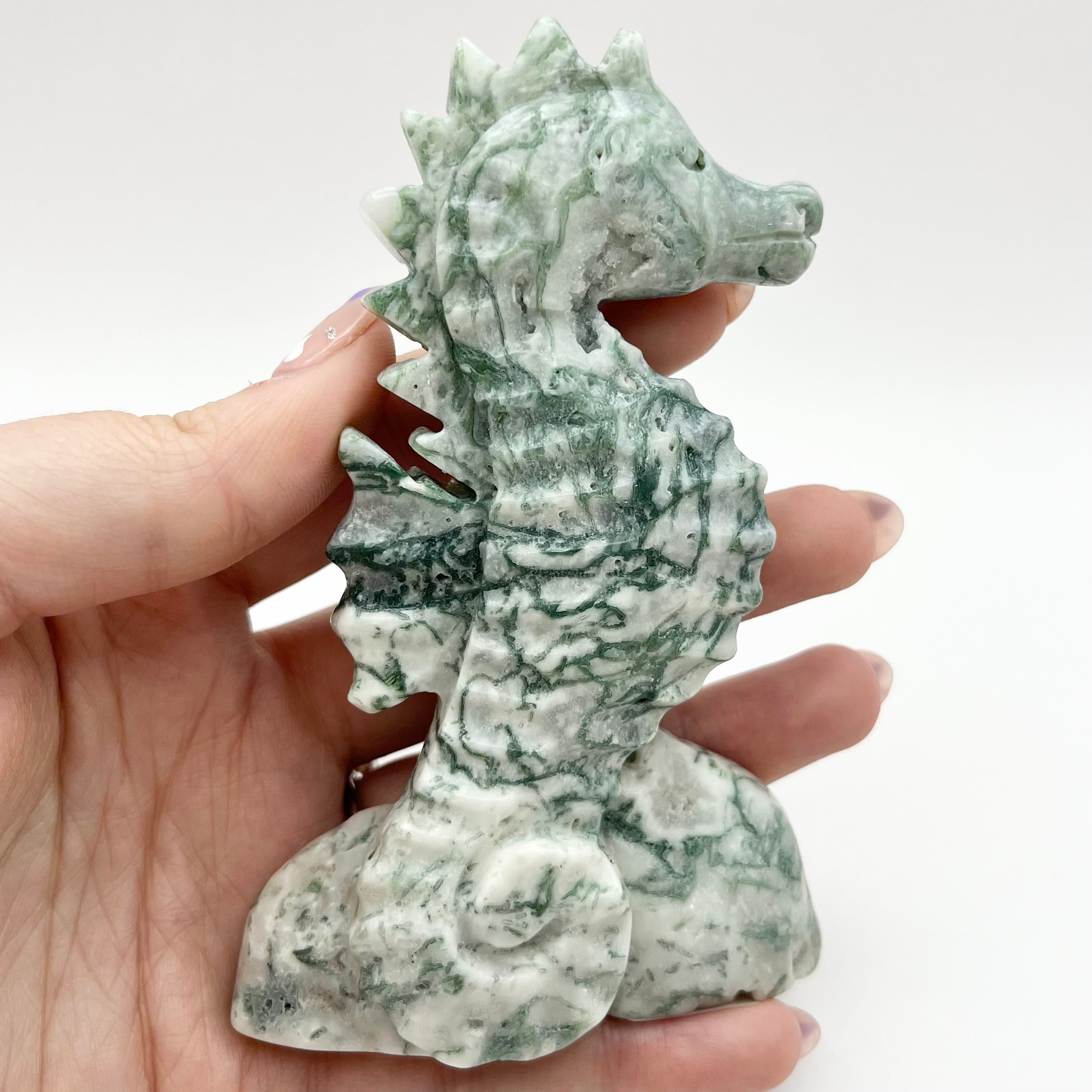 4.25 Inch Moss Agate Seahorse O115