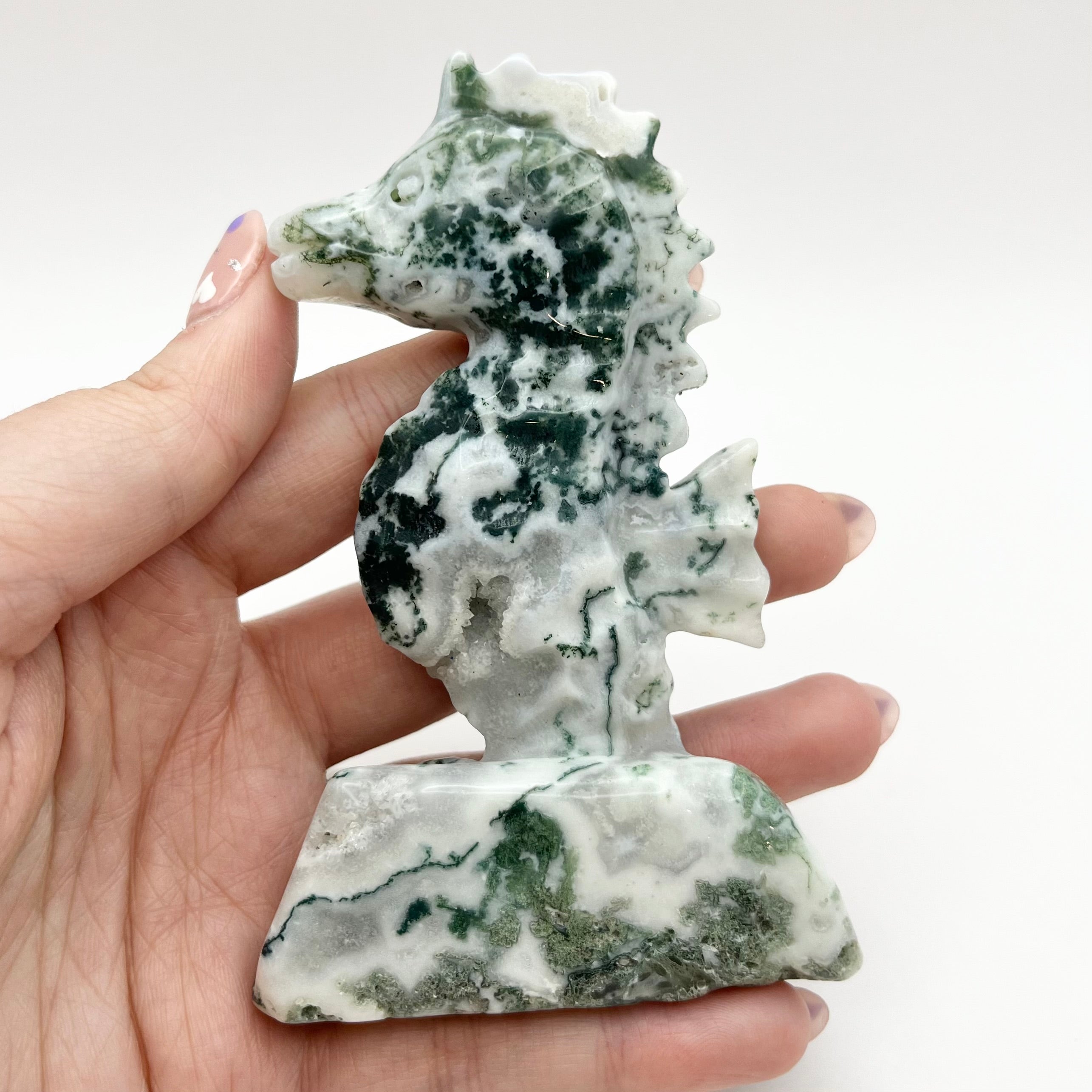 4 Inch Moss Agate Seahorse X115