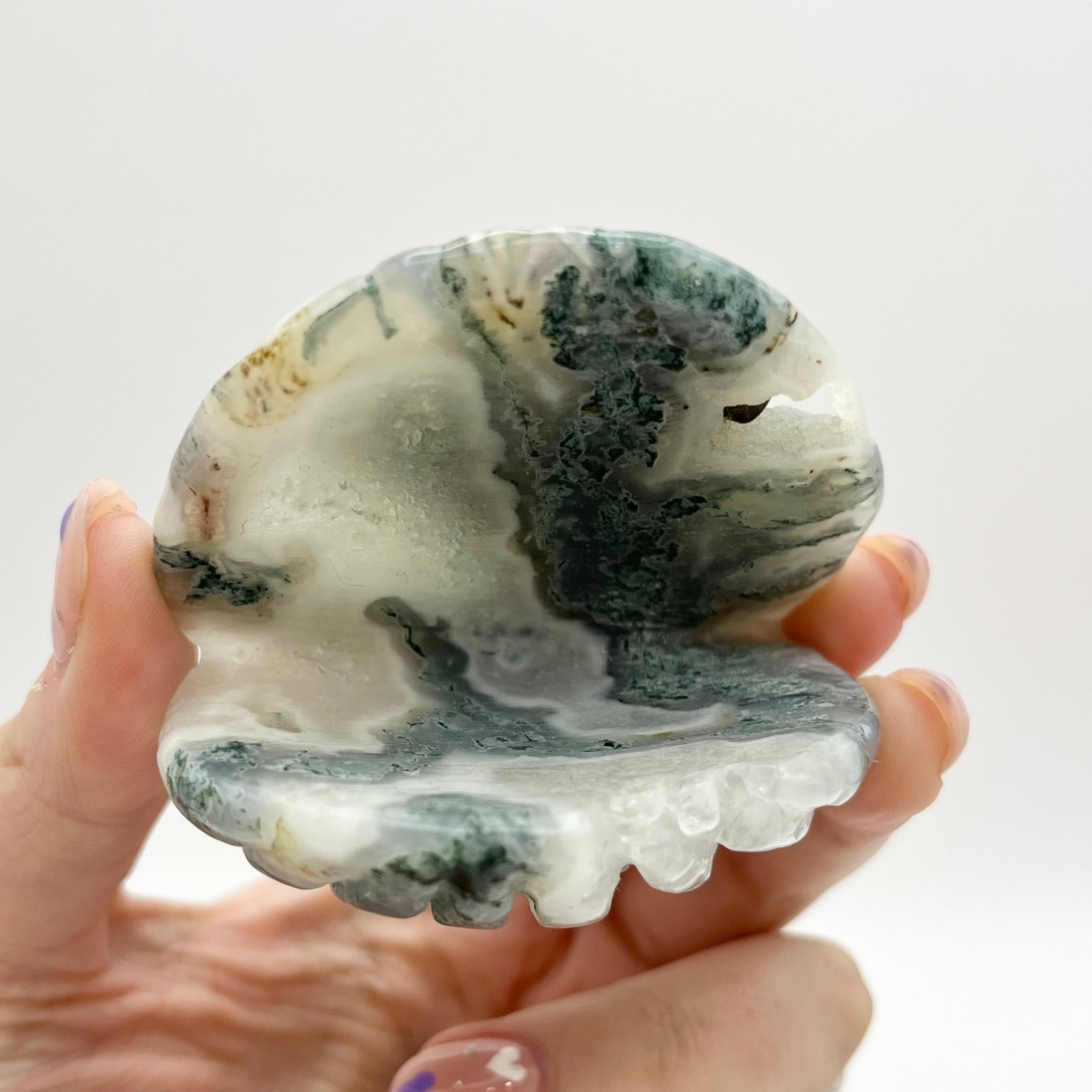2.75 Inch Moss Agate Clam Shell A115