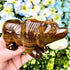 3.75 Inch Tiger's Eye Bear M164