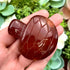 2 Inch Flower Agate Carnelian Turtle E51
