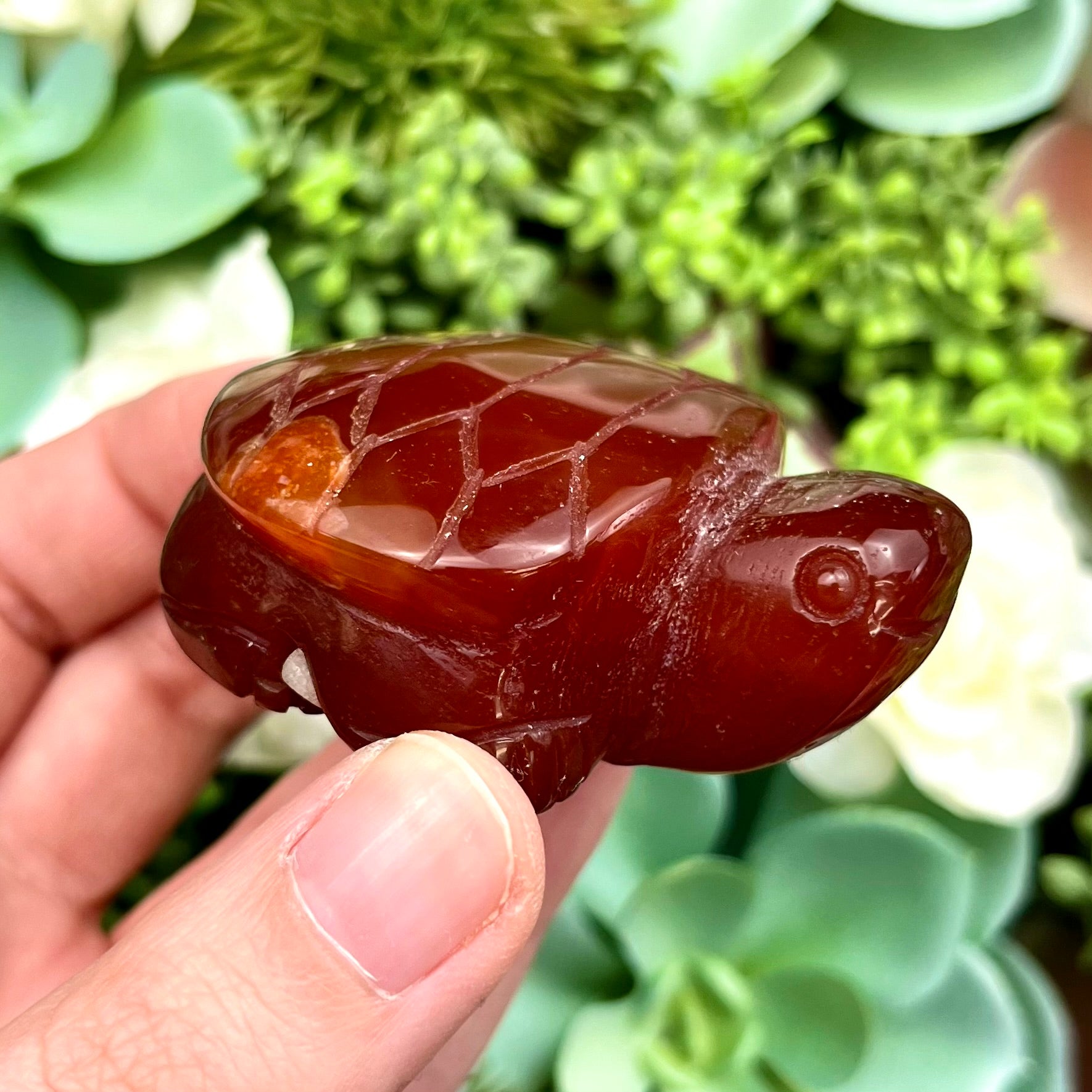 2 Inch Flower Agate Carnelian Turtle E51