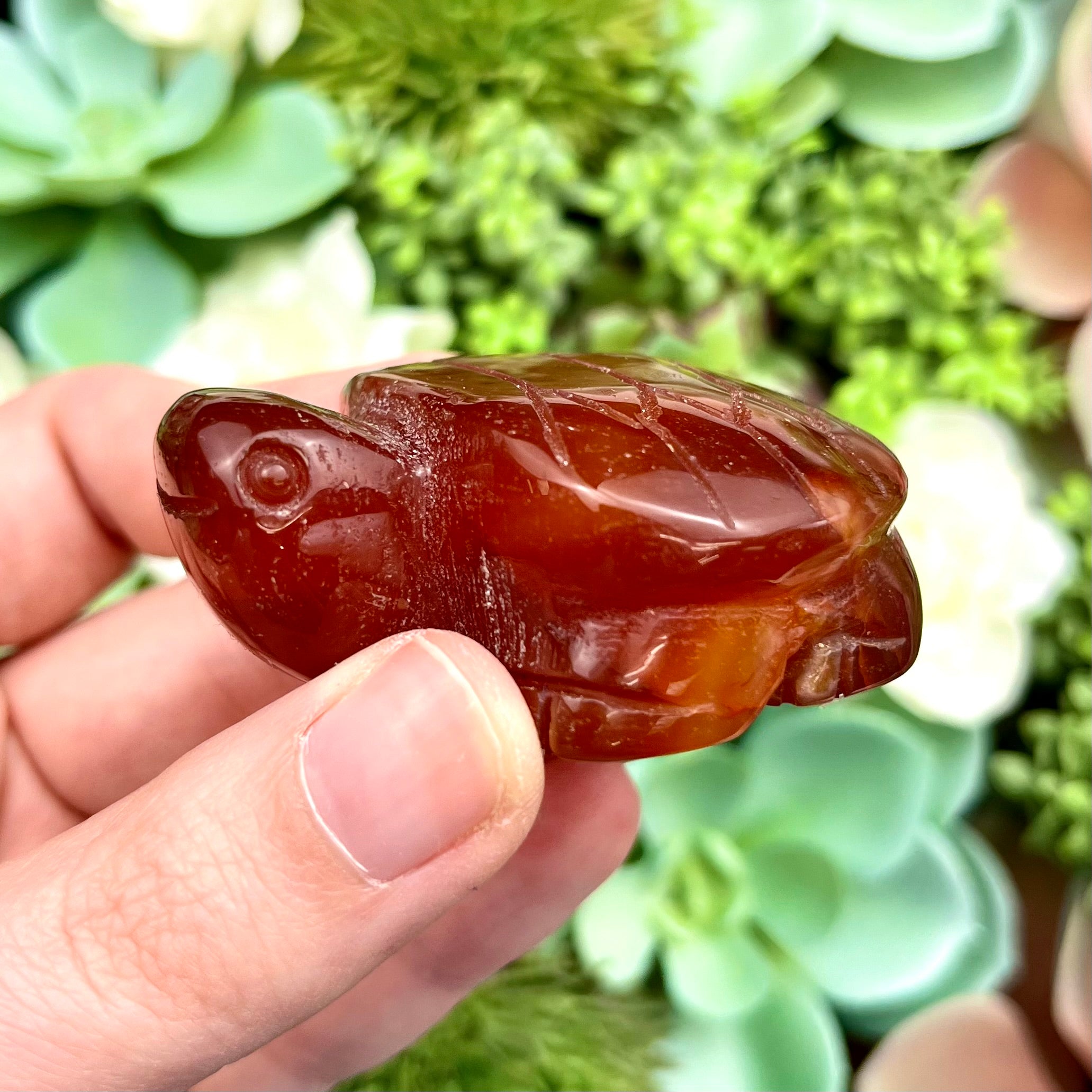 2 Inch Flower Agate Carnelian Turtle E51