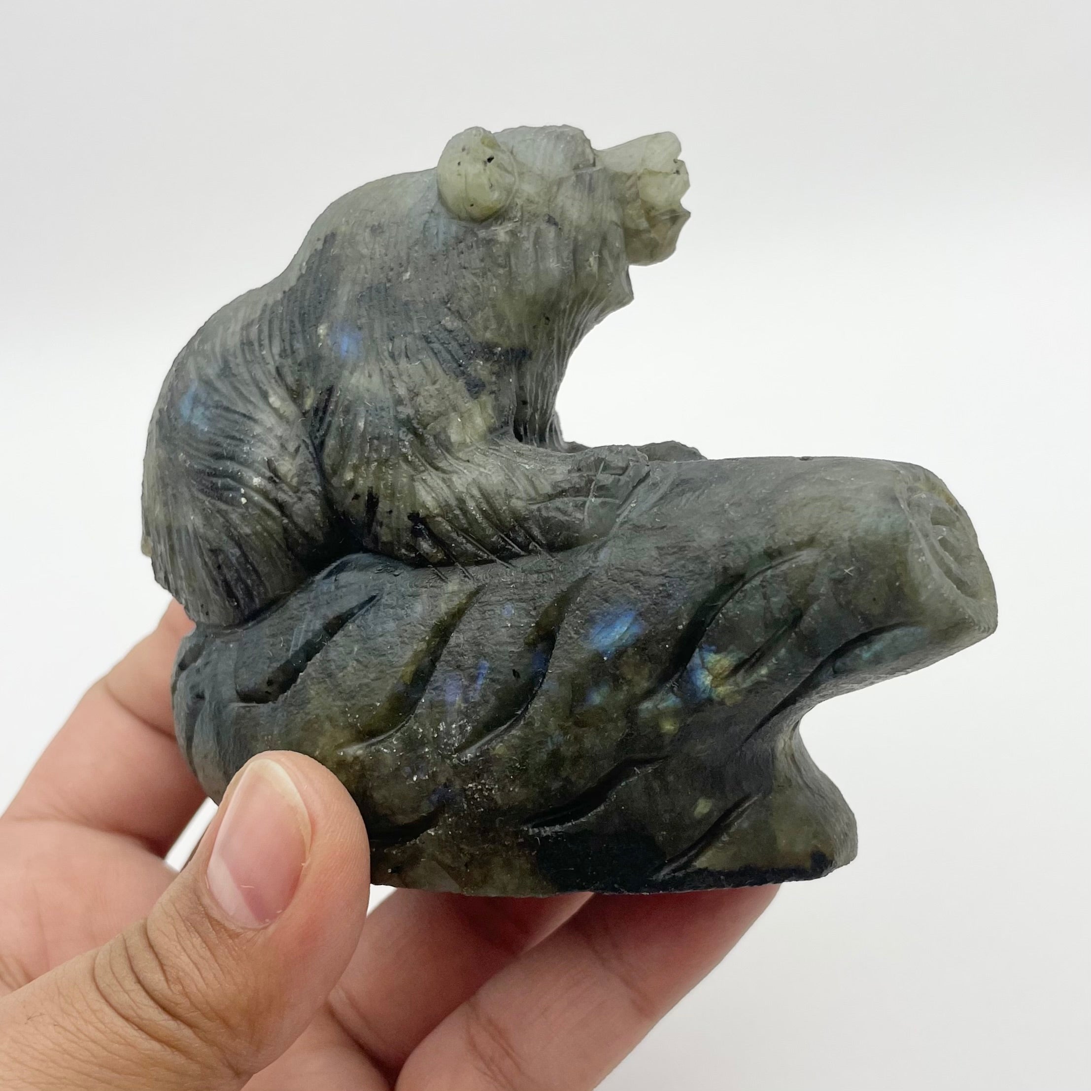 3.25 Inch Labradorite Bear Carving C191