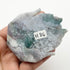 3 Inch Indian Agate Trilobite Carving H86