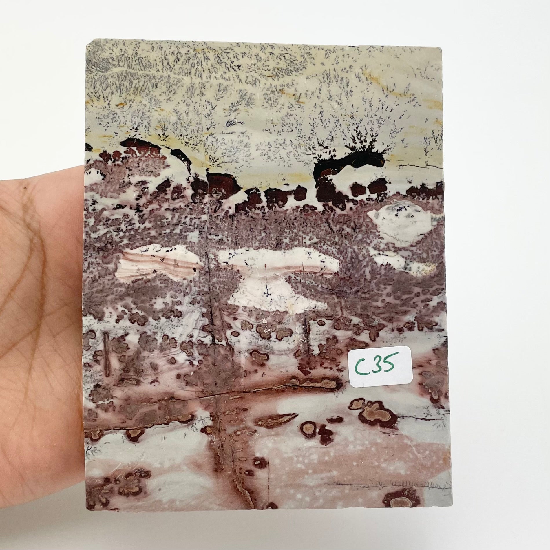 4.5 Inch Limestone Slab C35