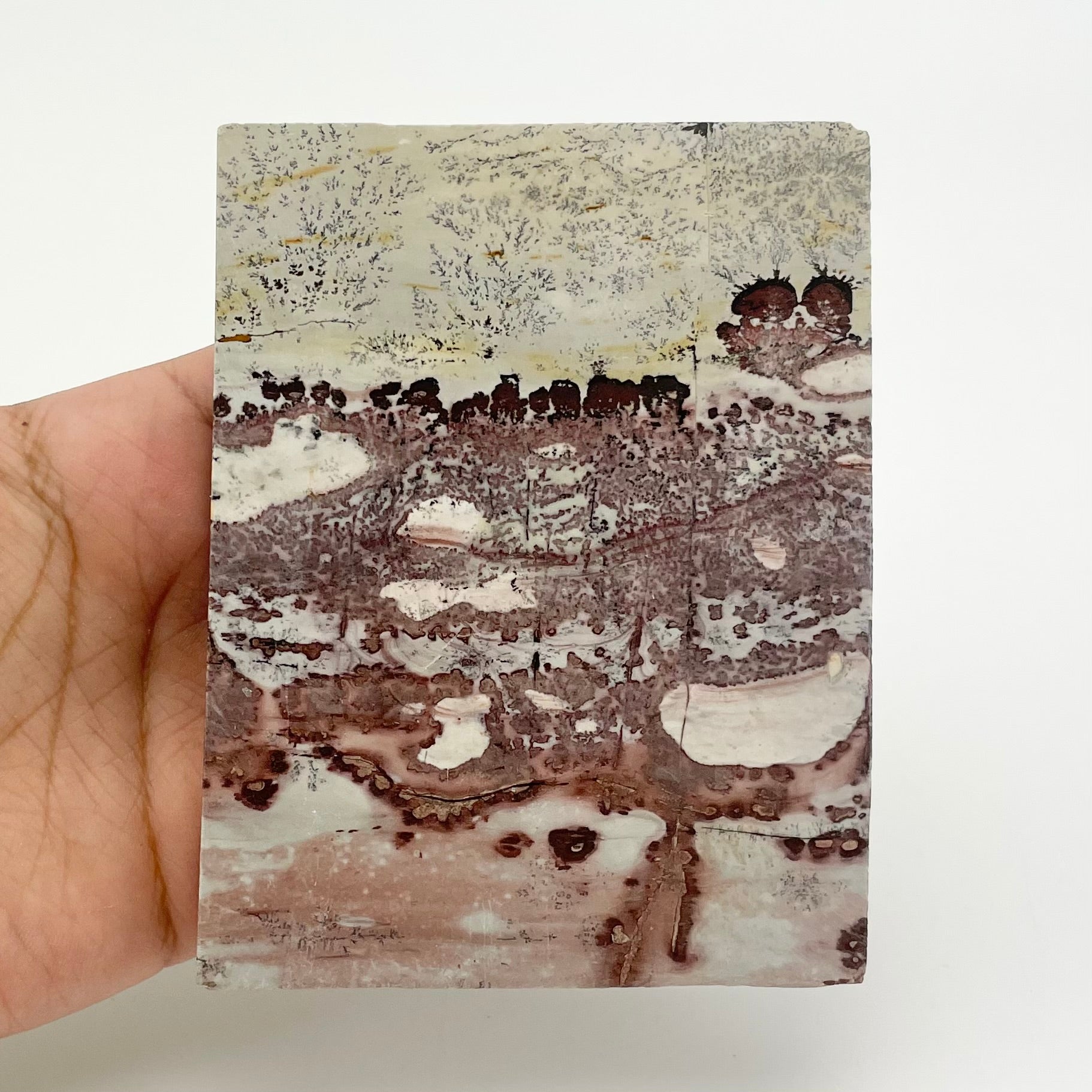4.5 Inch Limestone Slab C35