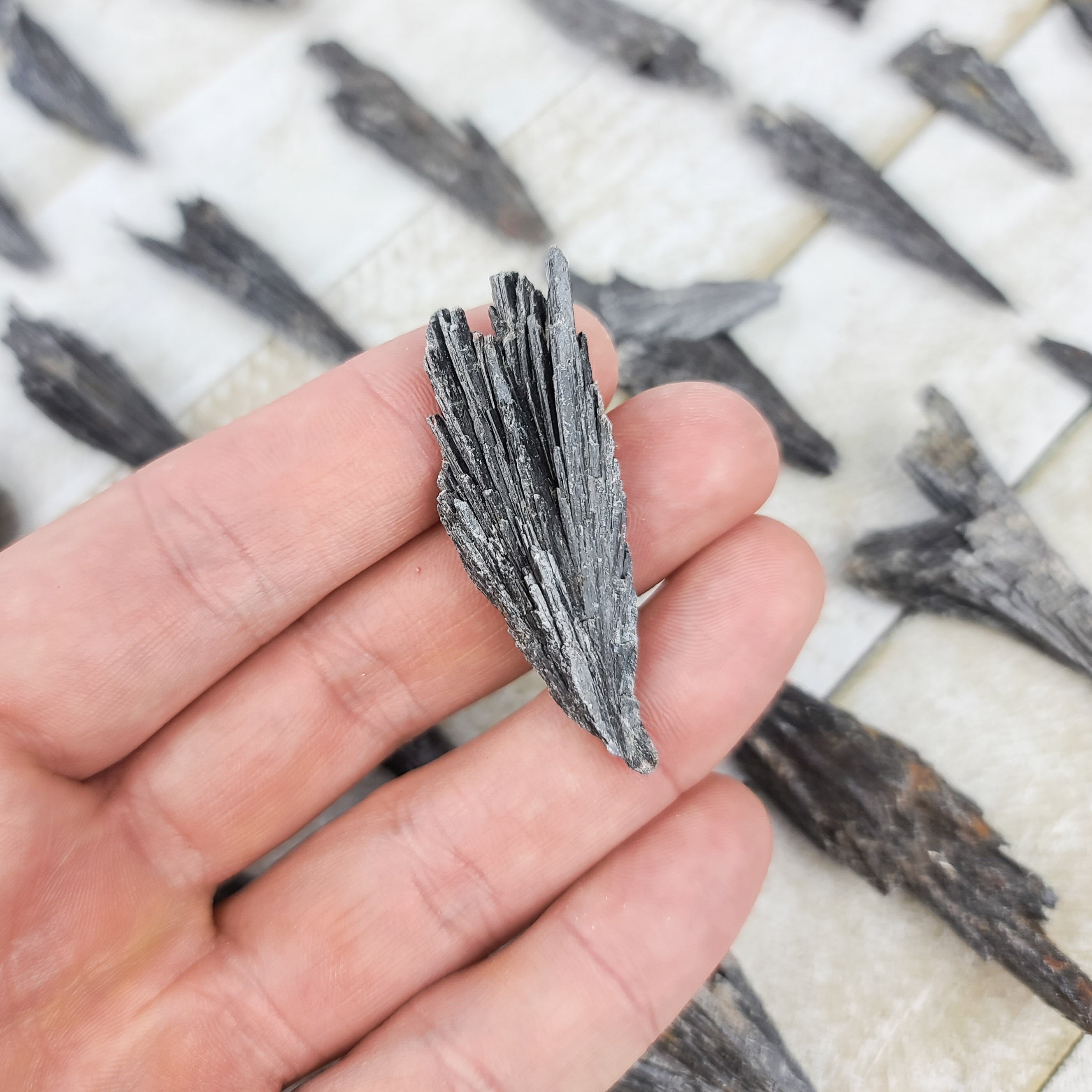 1-2.5 Inch Black Kyanite Blades