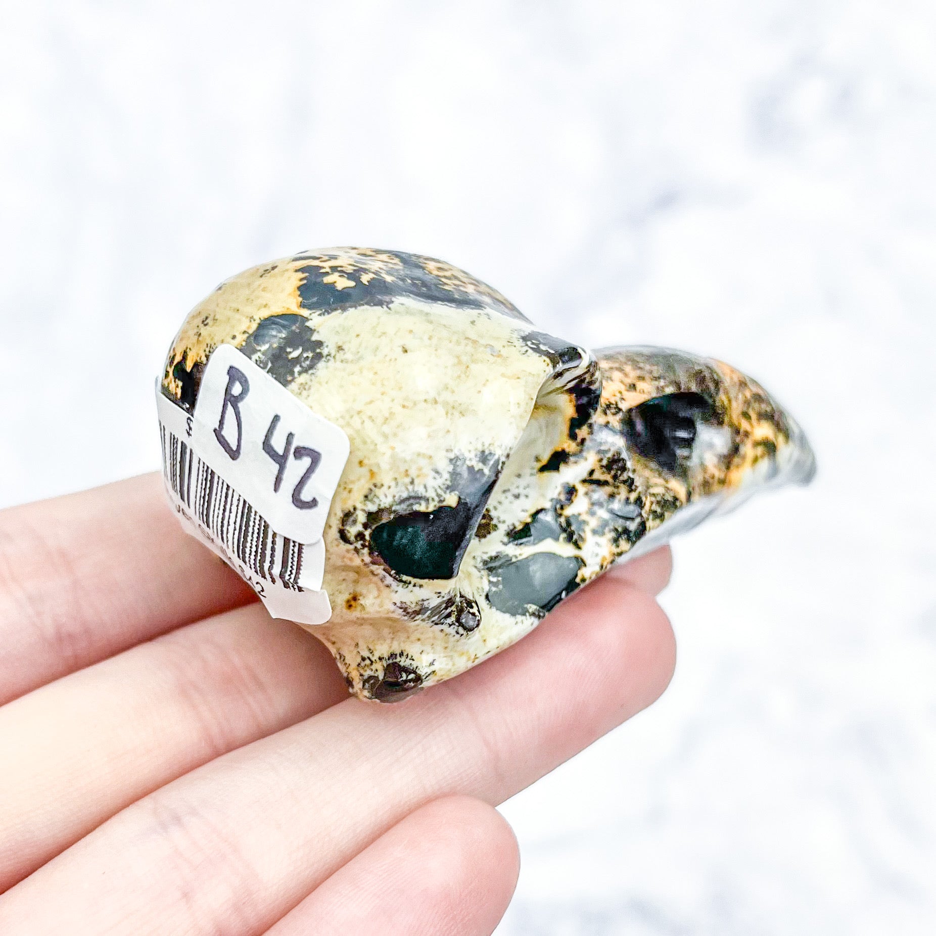 3 Inch Limestone Raven Skull B42
