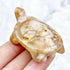 2 Inch Flower Agate Turtle Carving A38