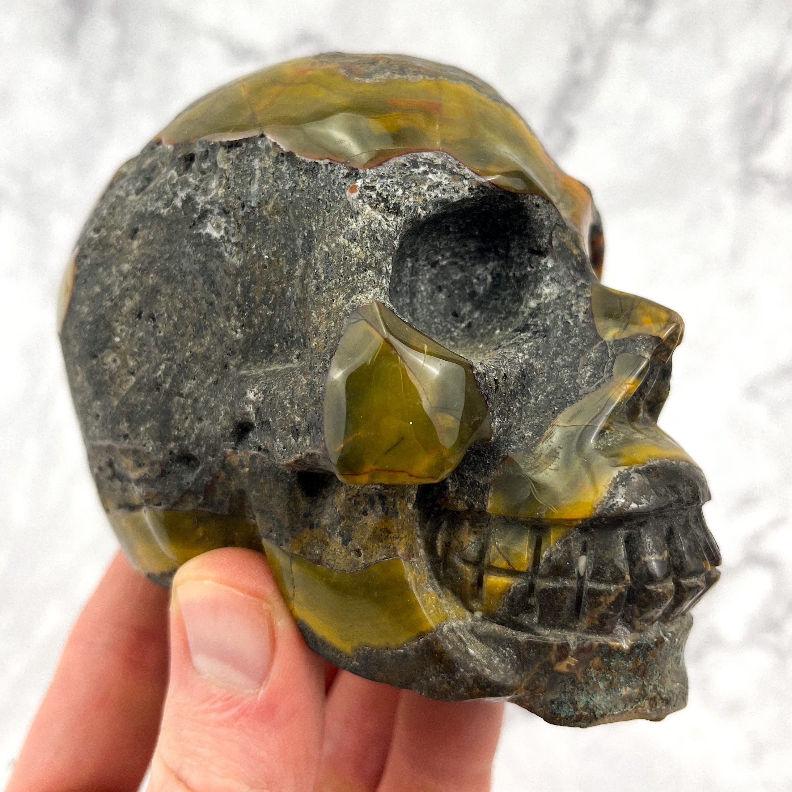 4 Inch Mexican Lace Agate on Host Stone Skull BT246
